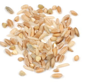 GRAIN BLEND, 9- GRAIN* product image