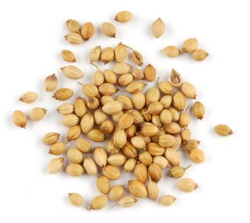 CORIANDER SEED, ORGANIC-Steam treated product image