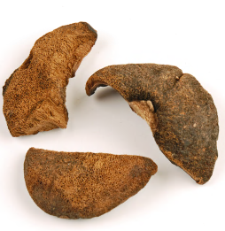 BOLETE MUSHROOMS product image