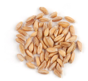 FARRO, ORGANIC product image