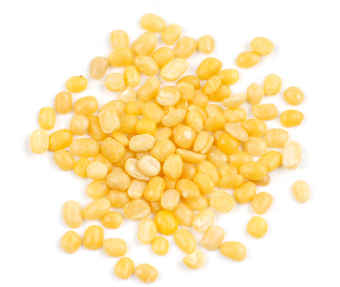 LENTILS, PETITE GOLDEN product image