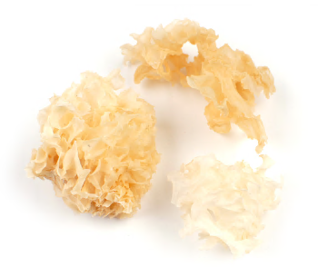 CAULIFLOWER MUSHROOM product image