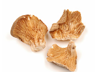 OYSTER MUSHROOMS IRRADIATED product image