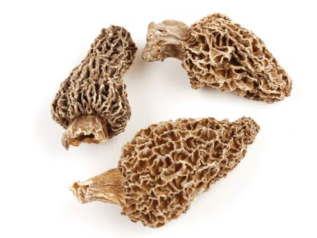 MORELS-Irradiated product image