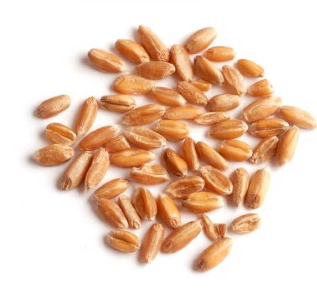 SPELT, ORGANIC* product image