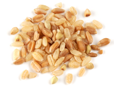 GRAIN BLEND, MULTI-GRAIN* product image