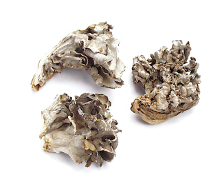 HEN OF THE WOODS (MAITAKE) product image