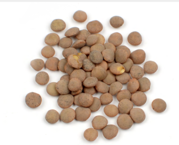 LENTILS, BROWN (SPANISH PARDINA ) product image