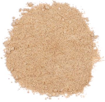 AMCHUR (GREEN MANGO) POWDER-ETO product image