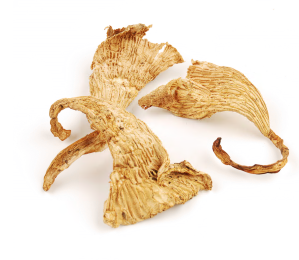 CHANTERELLES-Steam product image