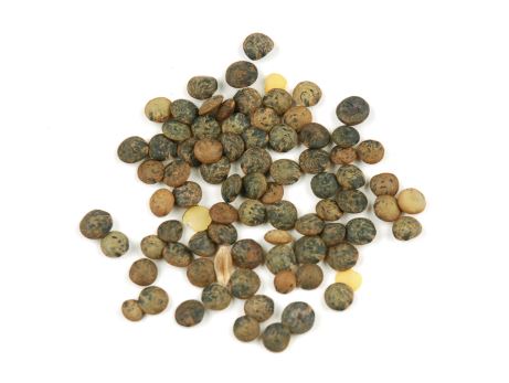 LENTILS, FRENCH GREEN, ORGANIC product image