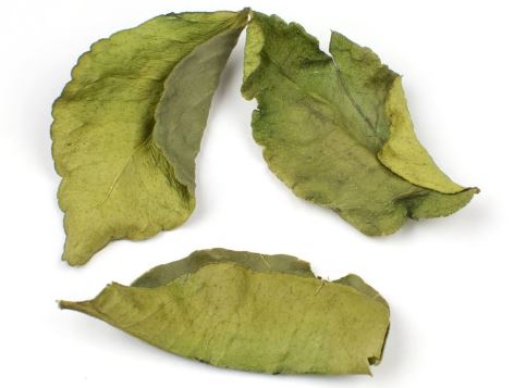 LIME LEAVES, MAKRUT-Steam Treated product image