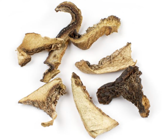 SAFFRON MILK CAP MUSHROOMS (LACTARIUS DELICIOSUS) product image