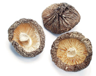 SHIITAKE, WHOLE, ORGANIC product image