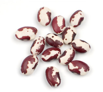 Anasazi Beans product image