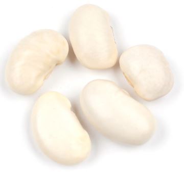 GIGANTE BEAN product image