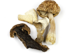 PORCINI  B  ( CEPES ) product image