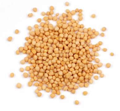 MUSTARD SEED, YELLOW product image