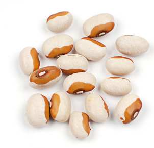 YELLOW EYE BEAN product image