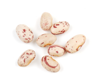 CRANBERRY BEANS, ORGANIC product image