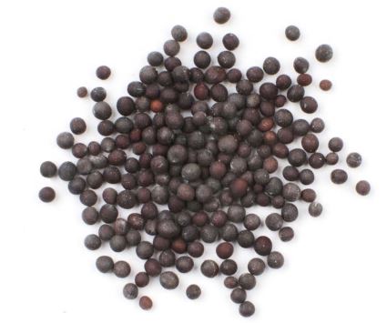 MUSTARD SEED, BLACK-ETO product image