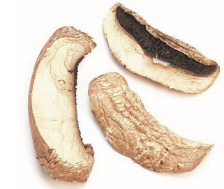 PORTABELLA, SLICED, ORGANIC-Steam Treated product image