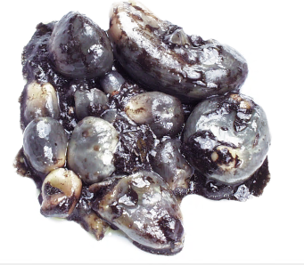 HUITLACOCHE product image