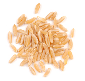 KAMUT BRAND WHEAT, ORGANIC* product image