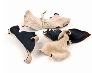 WOOD EAR, FIRST QUALITY product image