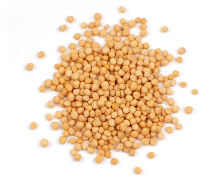 MUSTARD SEED, YELLOW, ORGANIC-Steam Treated product image