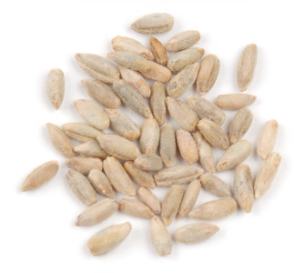 RYE BERRIES product image