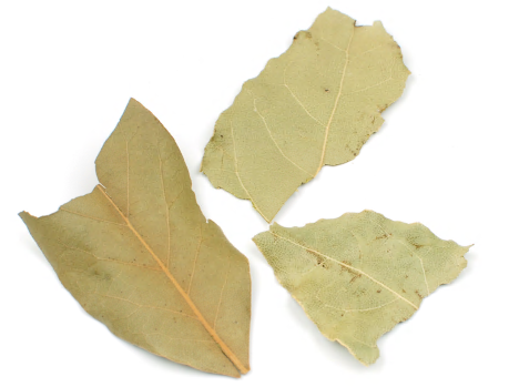 BAY LEAVES, SEMI SELECT-ETO Treated product image