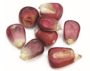 CORN, RED product image