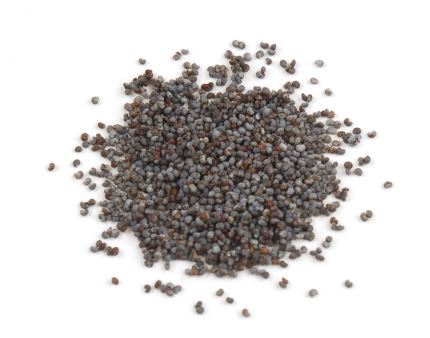 POPPY SEED-Steam product image