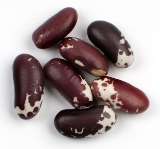 JACOB'S CATTLE / TROUT BEANS product image