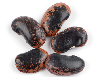 RUNNER BEANS, SCARLET product image