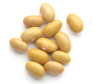 MAYOCOBA BEANS/CANARY product image