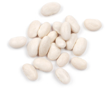 GREAT NORTHERN BEANS, ORGANIC product image