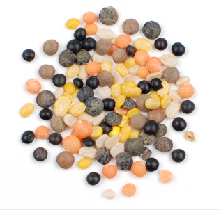 BLEND, LENTIL, AUTUMN product image