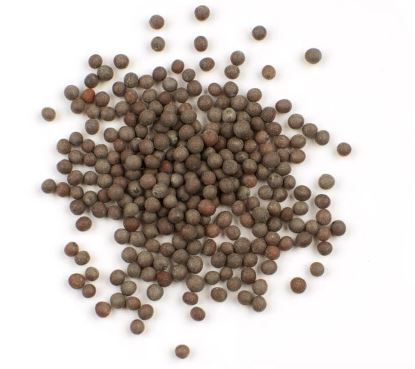 MUSTARD SEED, BROWN product image