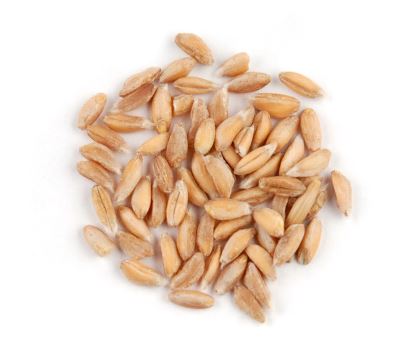 FARRO product image