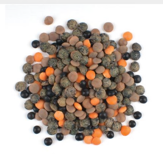 LENTIL BLEND, GOURMET product image