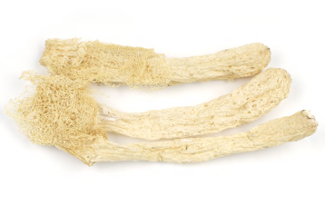 BAMBOO MUSHROOM product image