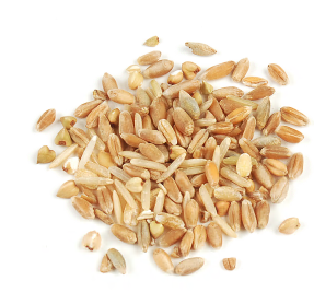 GRAIN BLEND, 7-GRAIN* product image