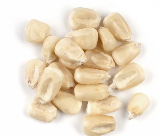 CORN, WHITE product image