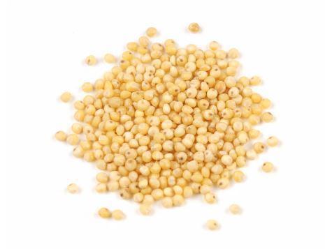 MILLET SEED, ORGANIC product image