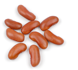 KIDNEY BEANS, LIGHT RED product image