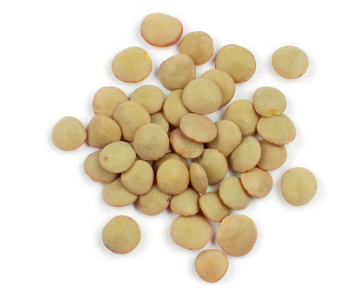 LENTILS, GREEN product image