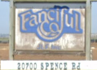 Fanciful Company logo