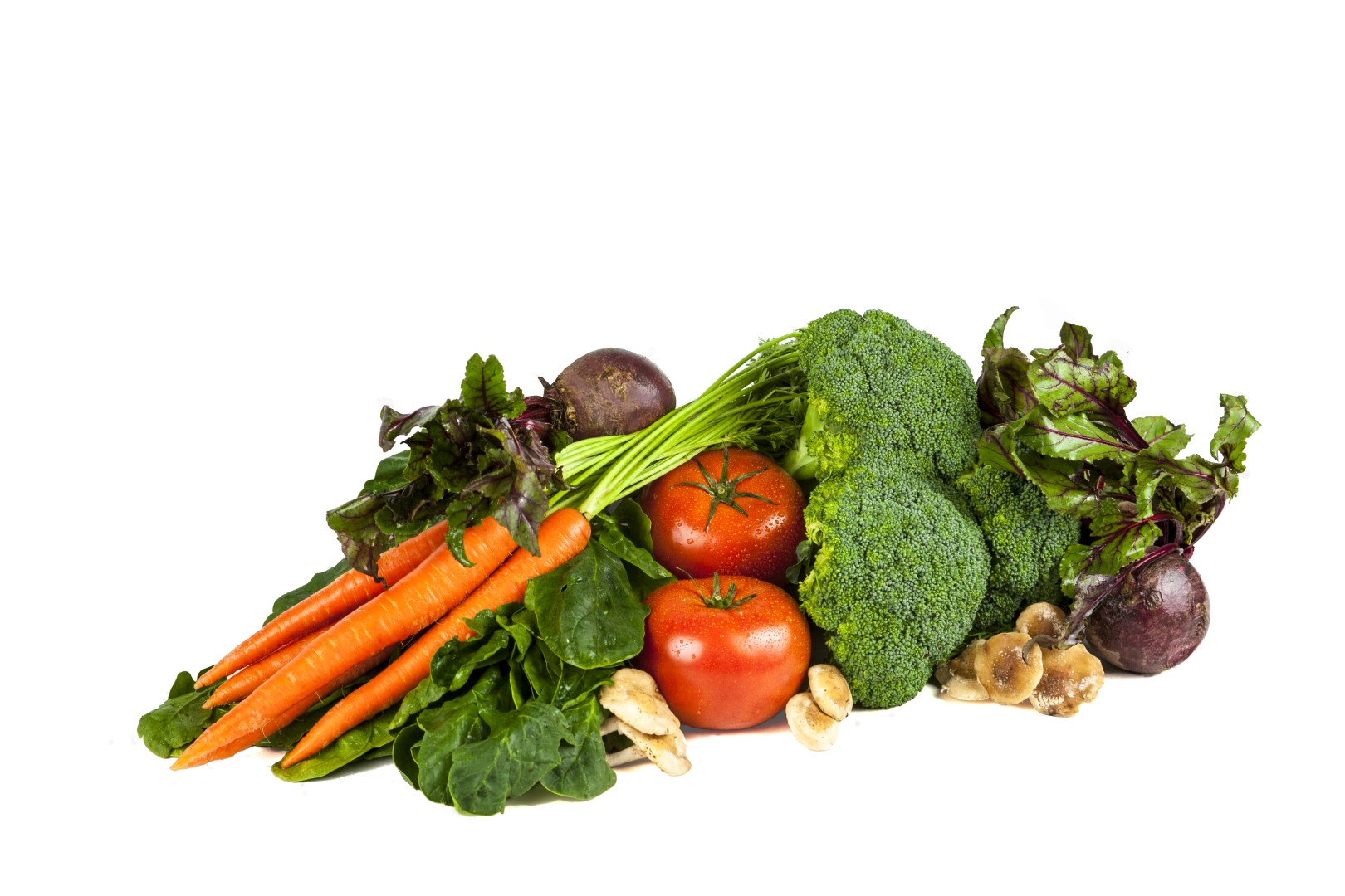 NF-2770, Blend 50 product image